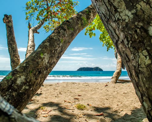 Imagen - San José, Costa Rica al Son del Calypso