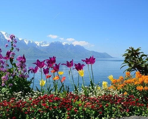 Imagen - Viaje a Ginebra, Suiza