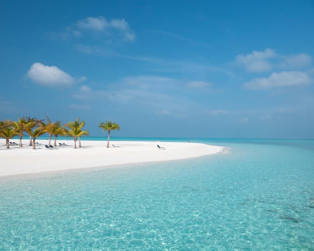 Bild -  Combinato Miami Beach + Bayahibe