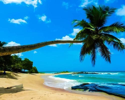 Изображение - Gewürzinsel Sri Lanka mit Colombo & Baden an der Westküste 