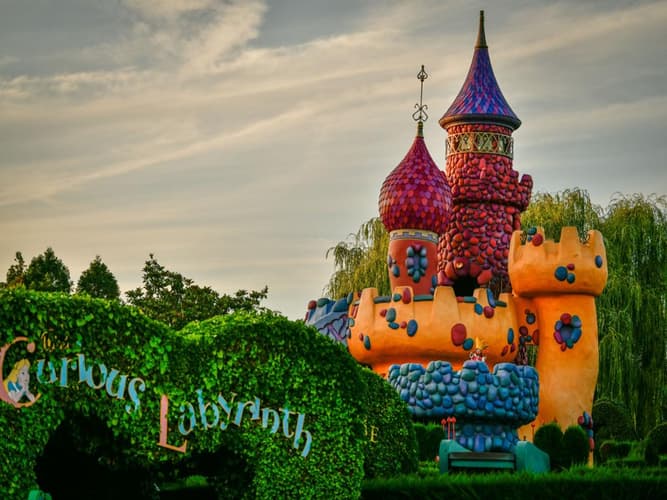 Образ -  Disneyland (4days/3nights)
