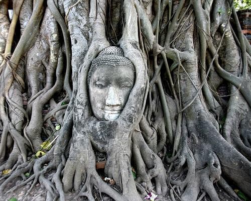 Image - Singapur, Rundreise "Erlebnis Nordthailand" & Baden 