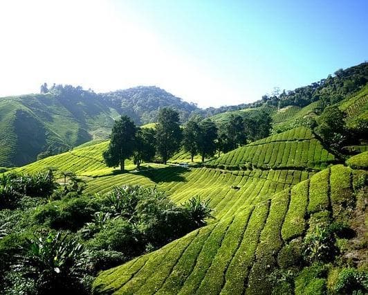 Bild - Kuala Lumpur to Kuala Lumpur