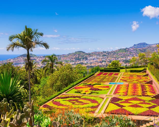 Imagen -  Porto ✈ Funchal