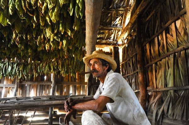 Kép - Rundreise "A lo Cubano" & Turks- und Caicosinseln