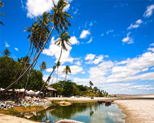 Imagen -  Luz, Sol y Celebración: Navidad y Fin de Año en Ceará
