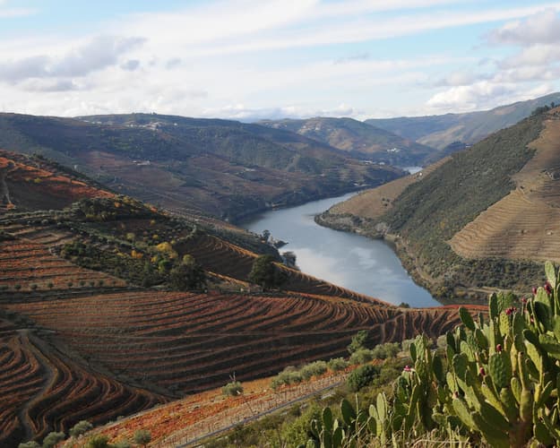 Imagem - Faça a sua Rota - Pelas Encostas do Douro