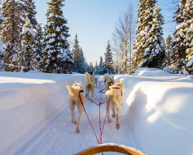 Imagen - Laponia - Puente de Diciembre en Levi - desde Zaragoza