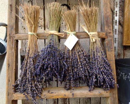 Imagen -  Autoruta por la Provenza: Pueblos con Encanto