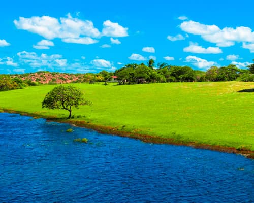 Image - Natal, Brazil - SILVANA