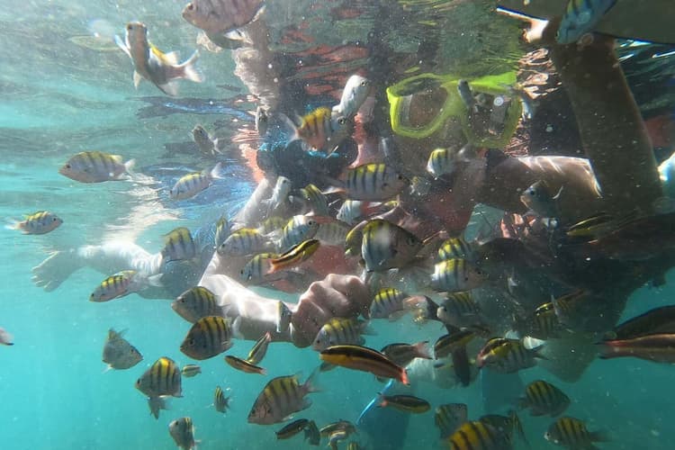 Image - Avión + Hotel + Tour + Traslado, Zihuatanejo 21 al 23-Nov,25