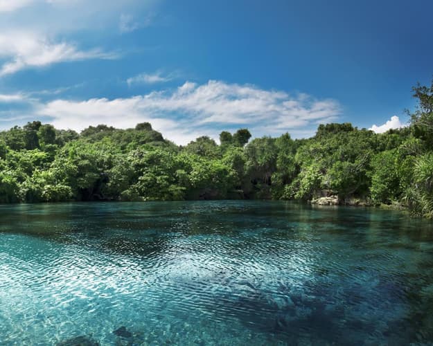 Image - Reisfelder auf Bali, Abenteuer auf Sumba & Baden