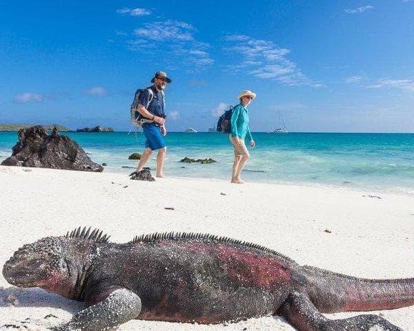 Immagine - Quito and Galapagos 8 Days