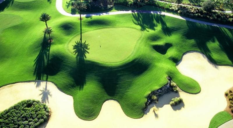 Image - Golfurlaub in Florida inklusive Badestopp und Mietwagen