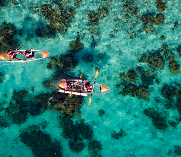 Bild - Malaysia – Städte, Dschungel, Wildtiere und Tauchparadies