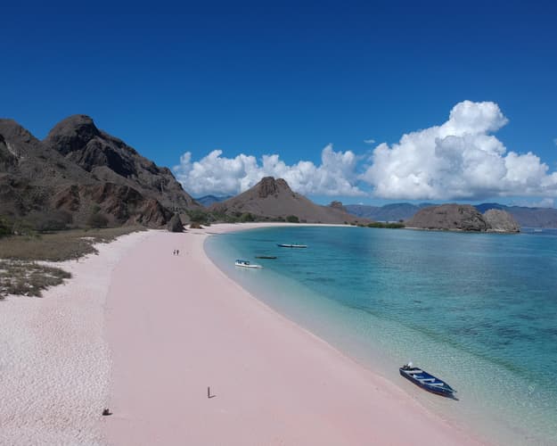 Bild - Singapur, Kurztour "Warane & Korallengärten" & Baden 