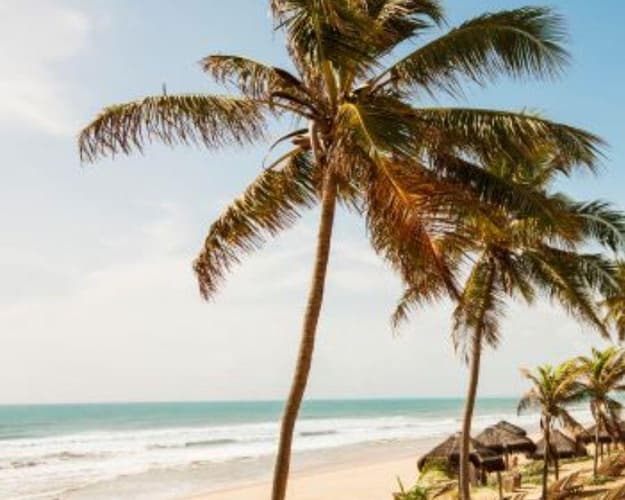 Imagen - Grand Palladium Imbassai - Vuelo con Sky 20 de enero