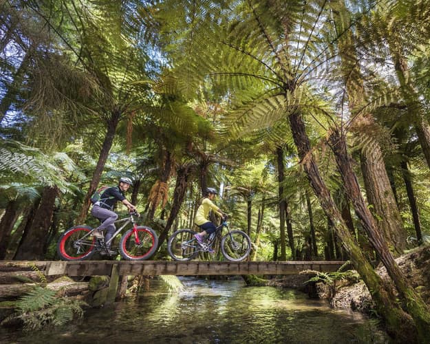 Beeld -  Ontdek Nieuw-Zeeland met de Familie