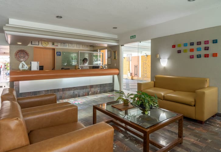 Image - Solo Hotel, Mazatlán 7 al 9-Nov, 25