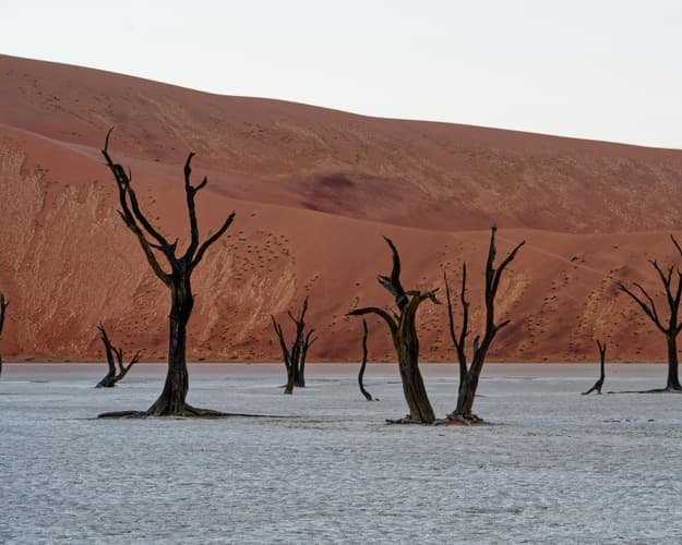 Obraz - Safari "Entdeckungsreise Namibia"