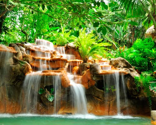 Imagen - San José, Descubre Costa Rica en Familia