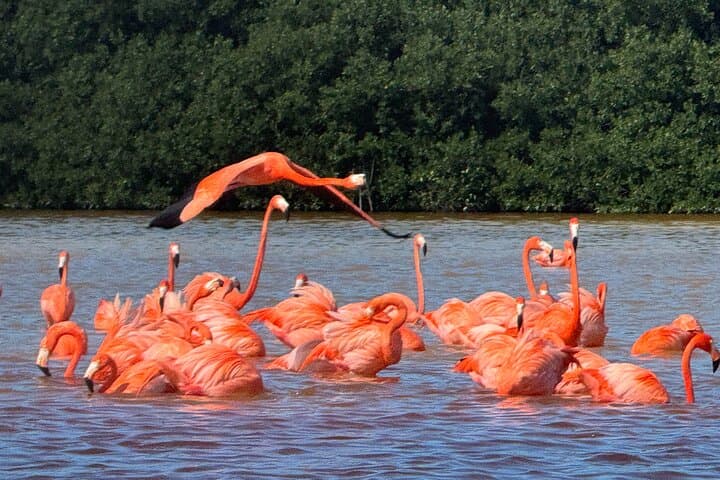 Image - MERIDA PARA 2 CON PASEOS- ABR 17- 20, 25