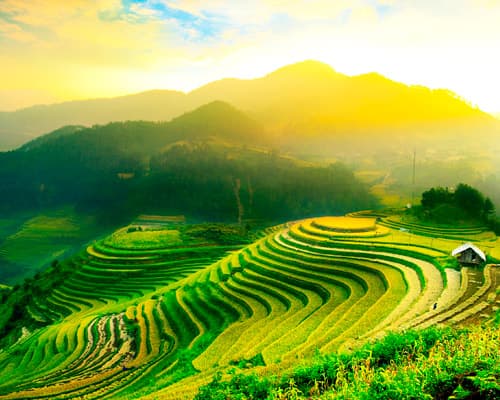 Image - Perle di Vietnam 8G/7N