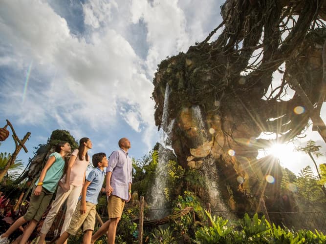 Imagen - Disney´s All Star con Parques & Comidas 