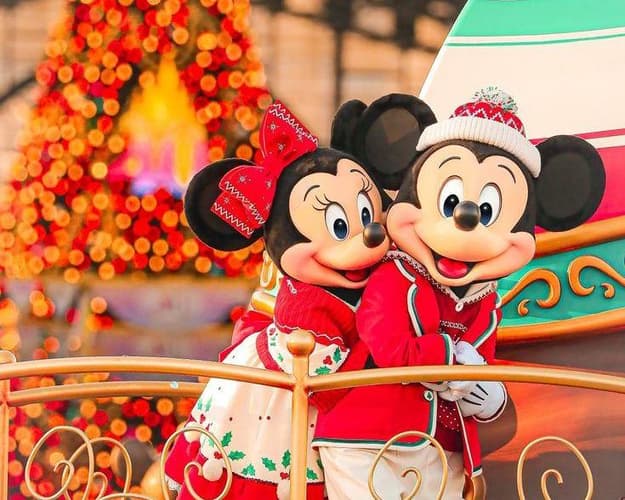 Image - Family Package, Disneyland