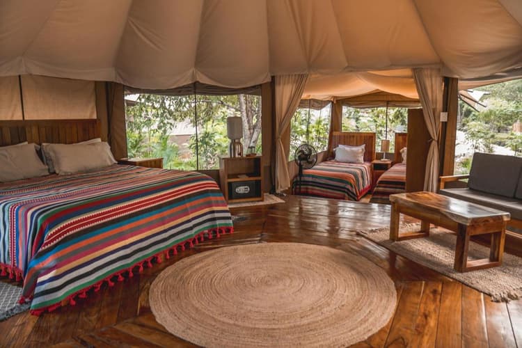 Imagen - DESCONÉCTATE EN ESTE BELLO HOTEL GLAMPING, DBL, YUCATAN 