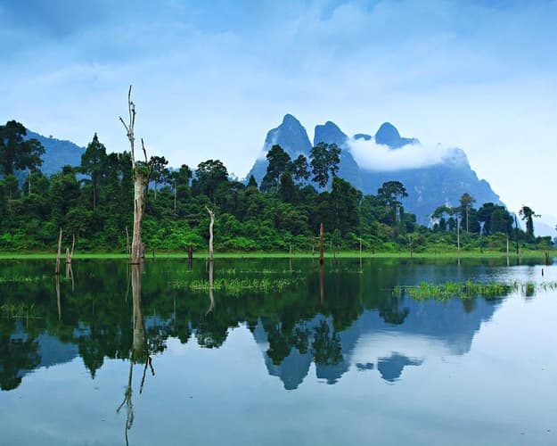 Bild - Phuket & Khao Sok Nationalpark