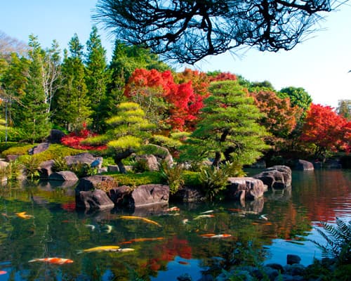 Bild - Japan erleben: Hiroshima, Tokio und Osaka (mit Ausflügen)