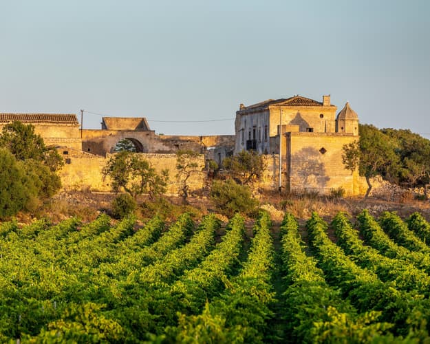 Immagine - Sicilia, Degustazione di vino Marsala 