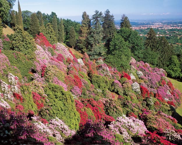 Image -  Stresa Biella e Torino