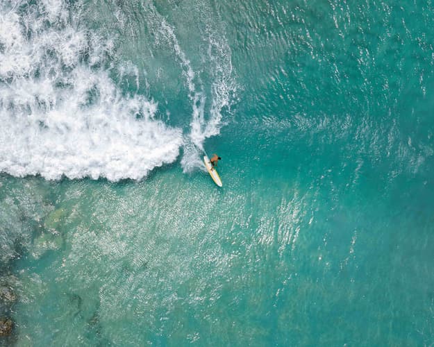 Immagine - Honolulu, Snorkeling