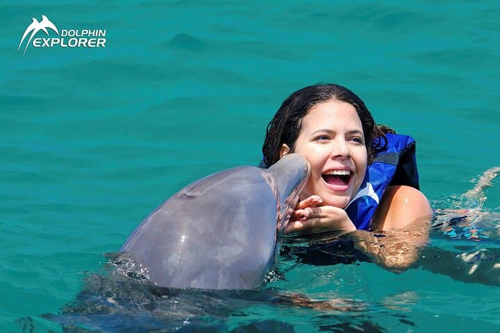 Image - Swimming with Dolphins, Punta Cana