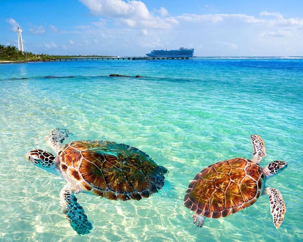 Imagen - BOLETO AEREO A CANCUN DESDE LA PAZ AV