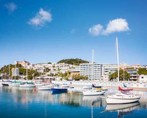 Imagen - Nueva Zelanda ida y vuelta en la Isla Norte