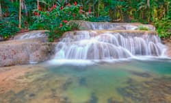 Imagem - Disfruta de Jamaica, Jamaica 2023          