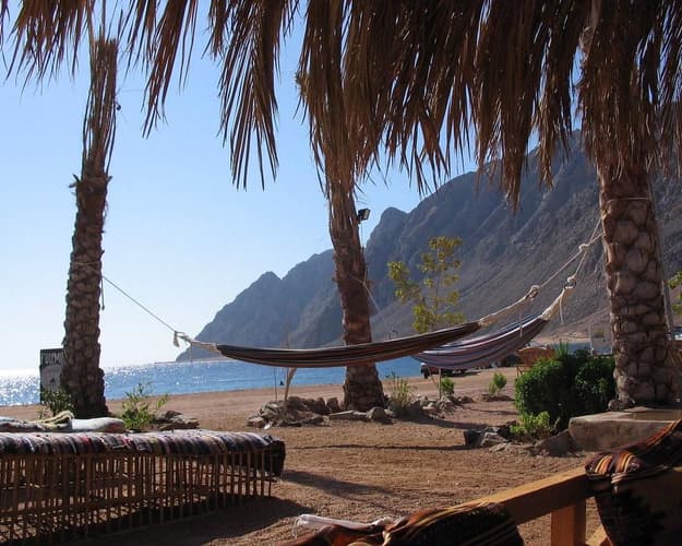 Image - Gizeh & Baden am Golf von Aqaba inkl. Ausflug Moosesberg 