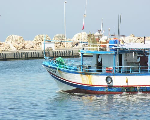 Image -  Djerba | Voos de Lisboa (14 NTS) | Verão 2026 