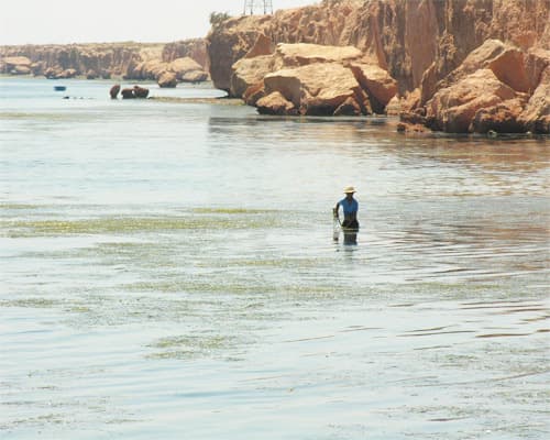 Image -  Djerba | Voos do Porto (7NTS) | Verão 2026 