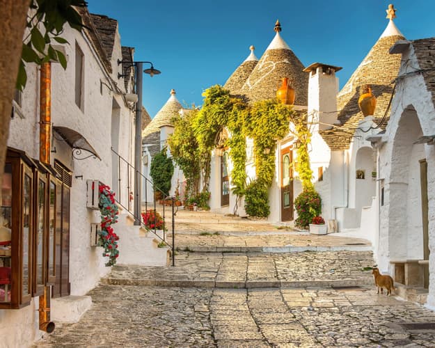 Image -  6 N Posia Retreat Newsletter July 2024