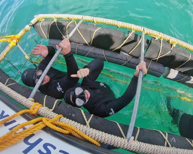 Obraz - Mit Haien tauchen in Kapstadt & Baden auf Mauritius