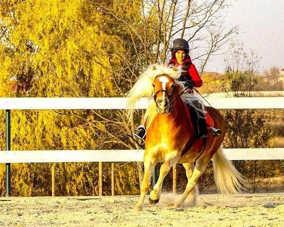 Immagine - 3 Days. 5* TAIF - InterContinental TAIF, an IHG Hotel (BB)