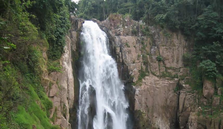 Image - Kurztour "Khao Yai Nationalpark" & Inselhopping