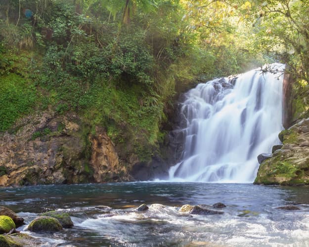 Image - Veracruz, Encanto de los Tuxtlas 6 días