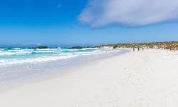 Imagen - Viajes a Galápagos desde Quito y Guayaquil | BM Tours