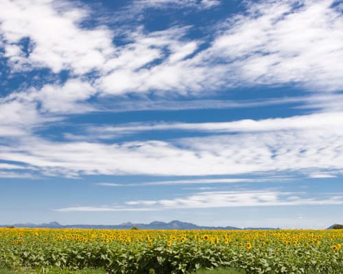 Imagen - De Buenos Aires a Salta