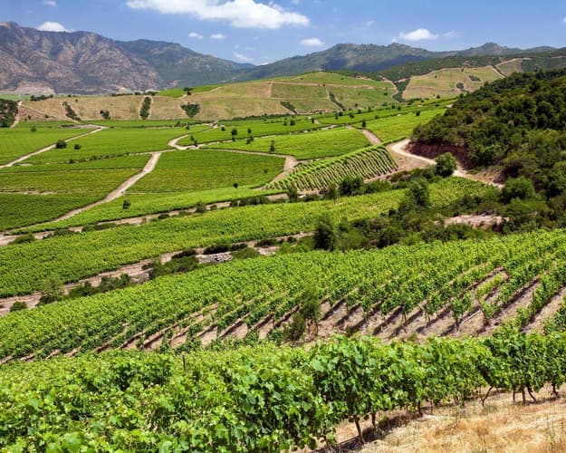 Imagen - Recorrido por los Valles Chilenos con vuelos